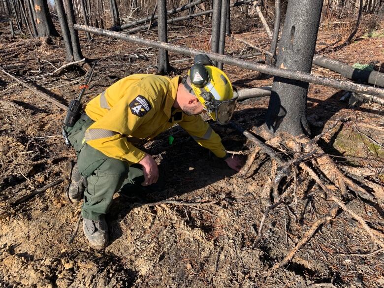 A man wearing a yellow shirt and green pants crouches by a tree.