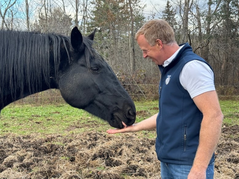 A black horse licks the hand of a man. 