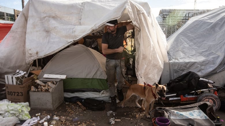 A man stands beneath a white tarp. A tent is visible beneath the tarps. A dog stands beside him.