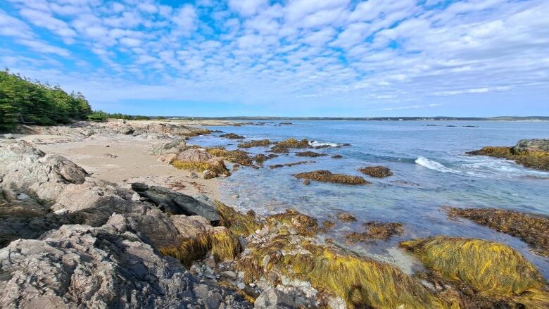 A rocky beach with clear water and blue skies above.