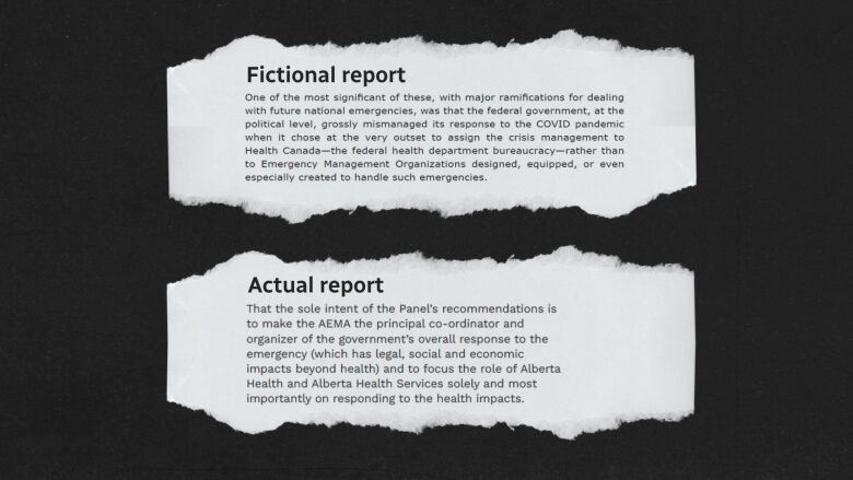 two excerpts; one from a fictional report, one from an actual report