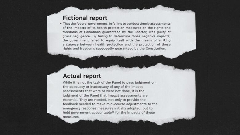   two excerpts; one from a fictional report, one from an actual report