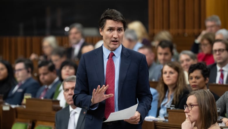 A man in a suit gestures while speaking in Parliament.