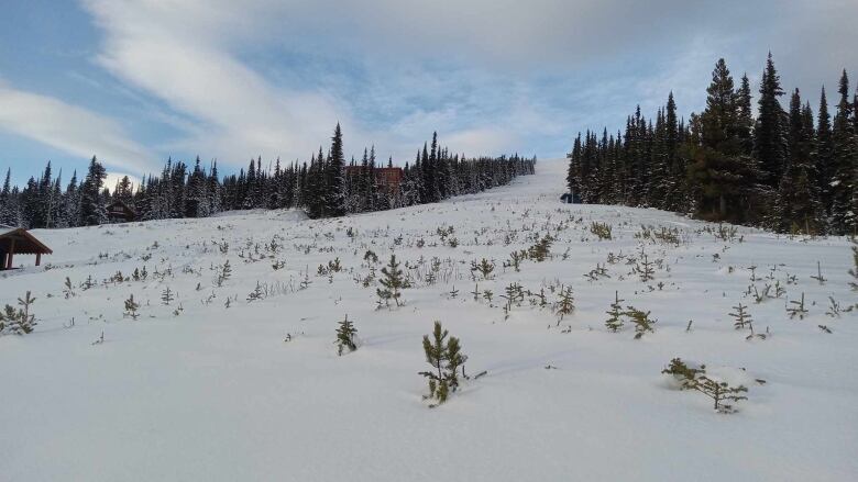 A downhill ski run is shown, with small trees and other vegetation poking through the snow.