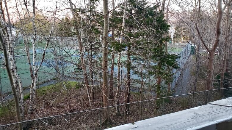 Trees in the foreground, and a fenced-in area in with a green floor painted with white lines in the background.