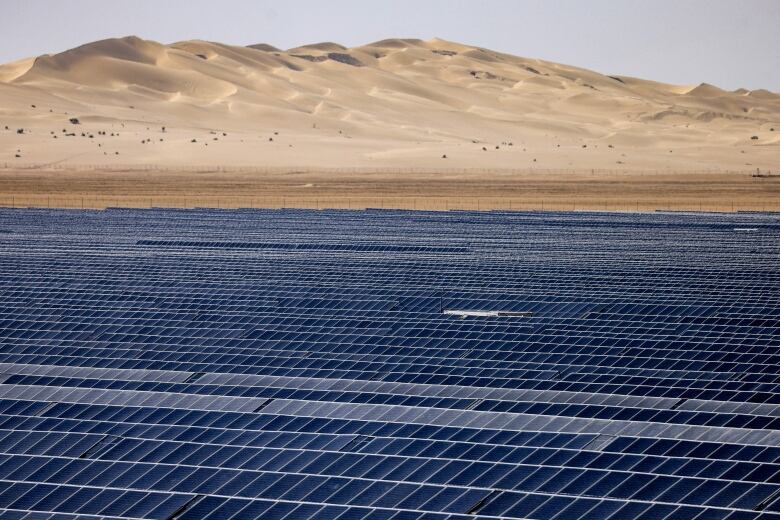 Large array of solar panels with desert hills in background