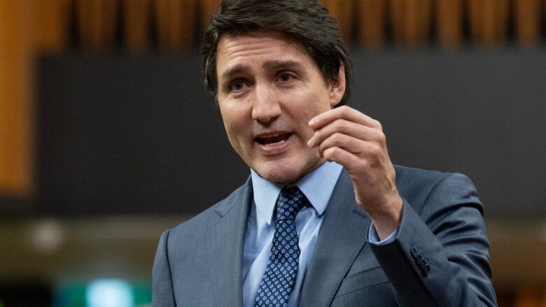 Prime Minister Justin Trudeau rises during Question Period, Wednesday, November 29, 2023 in Ottawa.