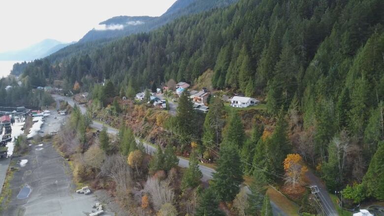 A drone shot of a small row of houses at the base of lush green trees on the side of a mountain. 