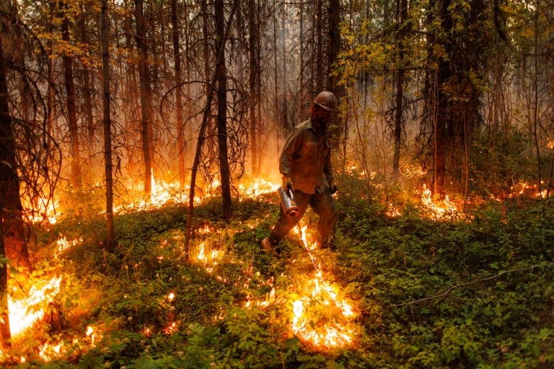 A man lights fire using a flamethrower-like instrument in thick forest.