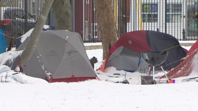 Two tents are pitched on a a snowy lawn near downtown St. John's.