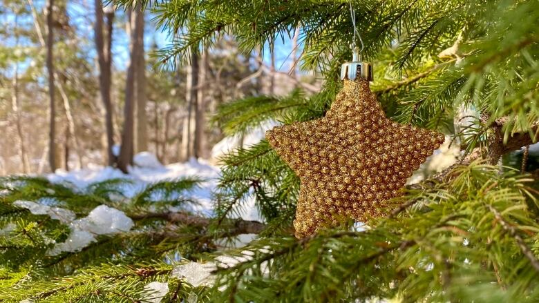 A star ornament hangs on a pine tree outdoors with snow on some of the branches.