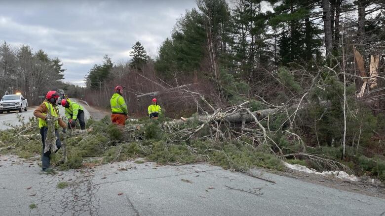 Four men in safety equipment stand near a tree that's fallen onto power lines.