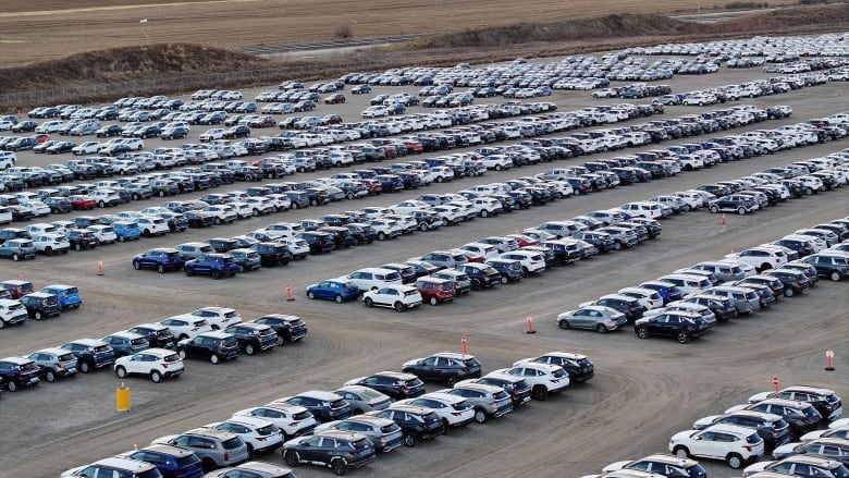 Dozens of cars are parked in rows on a dusty gravel lot. 