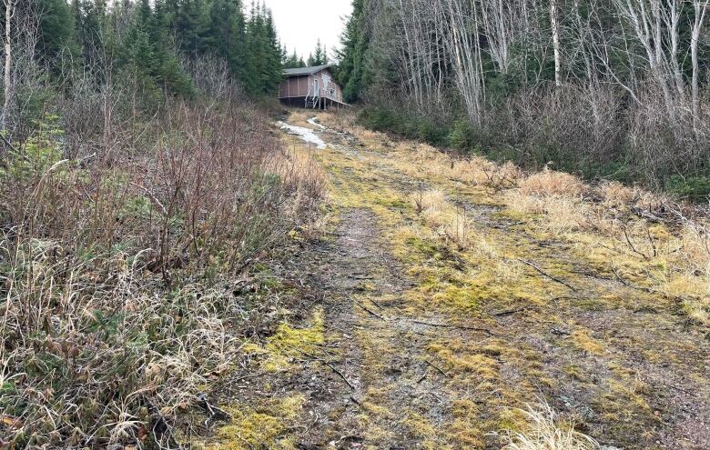 A green trail leads up to a wooden lodge on a hill. 