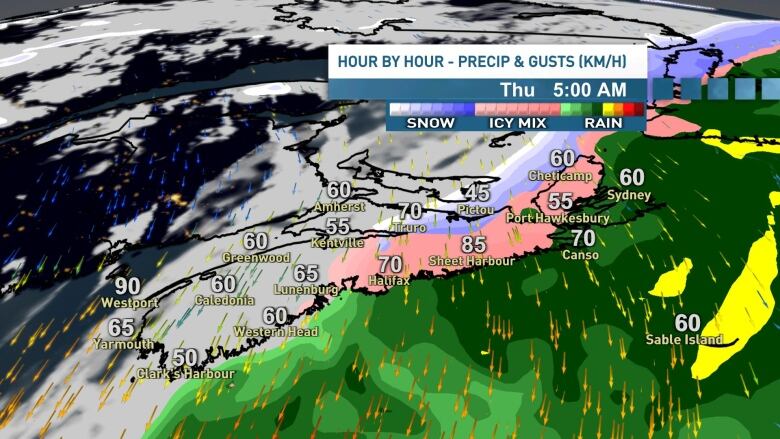 A map showing the hour by hour precipitation estimates across Nova Scotia for Thursday, Dec. 21 at 3 a.m.