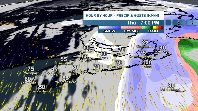 A map showing the hour by hour precipitation estimates across Nova Scotia for Thursday, Dec. 21 at 5 p.m.