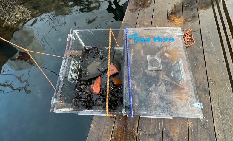 A plastic box with two compartments sits on a dock.