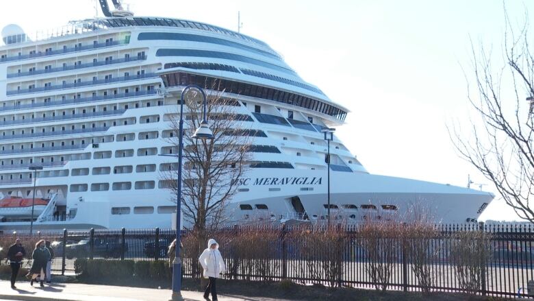 A cruise ship in the Saint John harbour