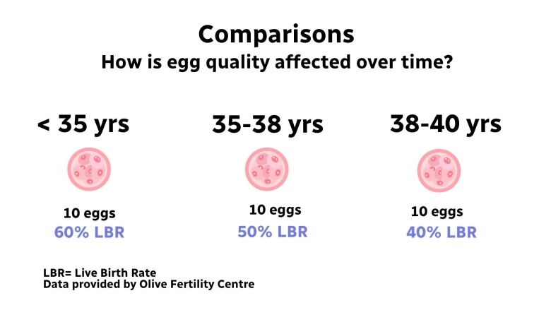 Infographic shows the chances of having children depending on age. 