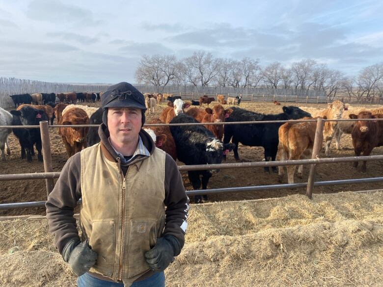 Garret Poletz raises several hundred cattle near Biggar, Sask. He said the warm weather has cut his operation's feeding, heating and other costs.