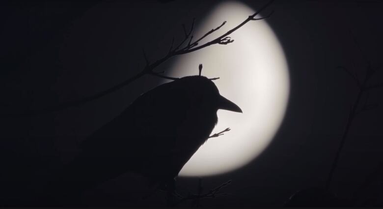 A silhouette of a crow perched in a tree branch against a blurred moon. 