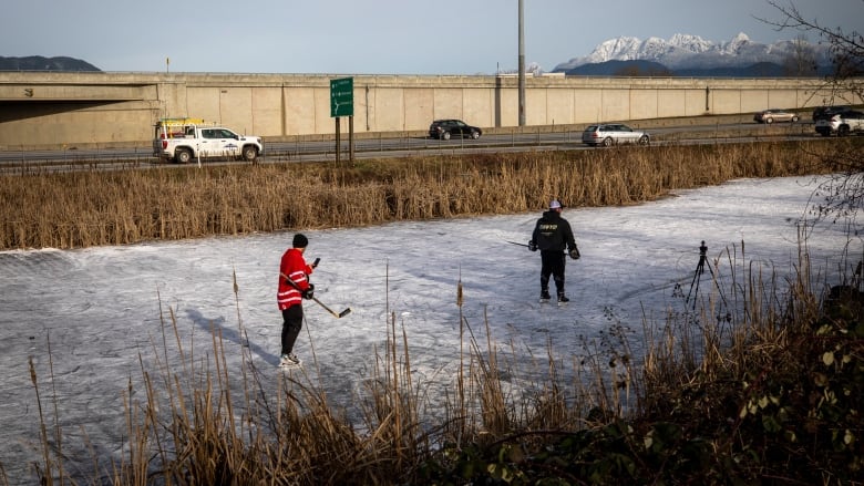 Two people play hockey next to a highway, separated by a bank of marshy grass and shrubs. Mountains are visible in the background.