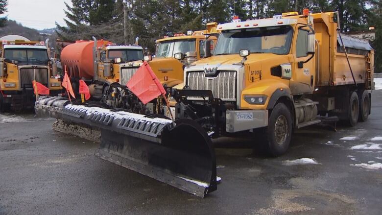 A road of yellow trucks with snowplows attached to their bumpers sits in a parking lot.