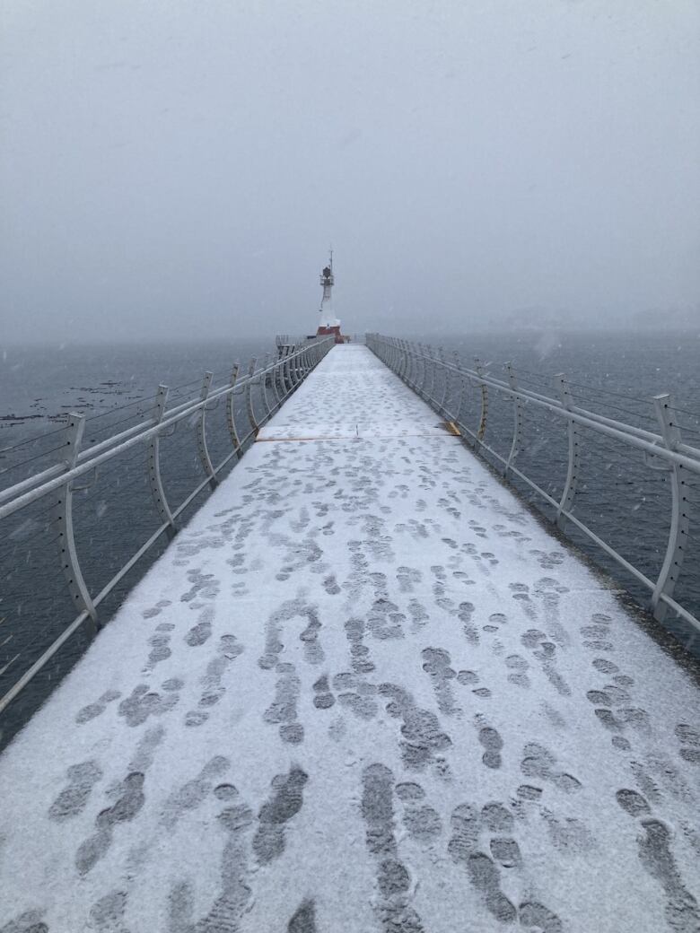 Snow covers the Ogden Point Breakwater in Victoria B.C. during a snowstorm on Wednesday Jan. 17, 2024.