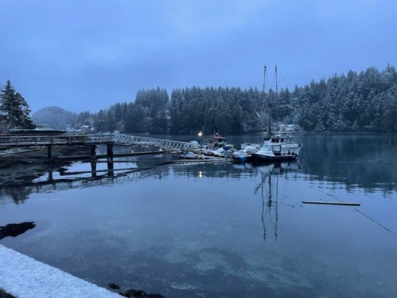 Snow is visible on sail boats in a marina.