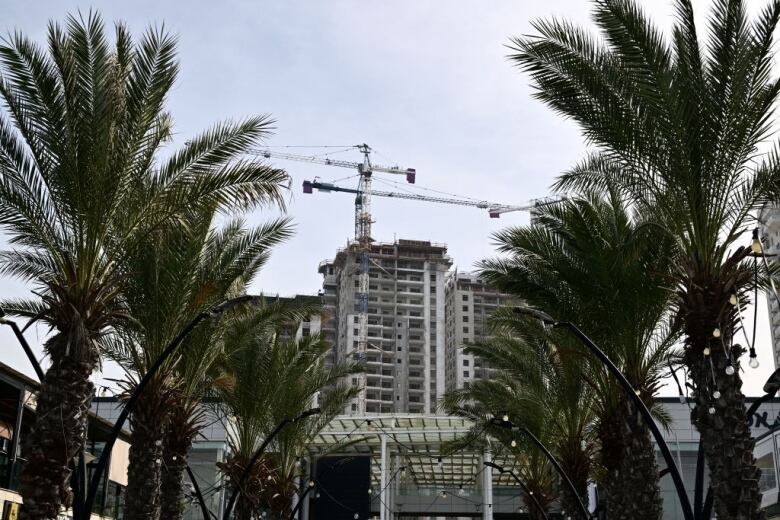 A set of buildings under construction in Ashkelon, Israel, are seen in January 2024.