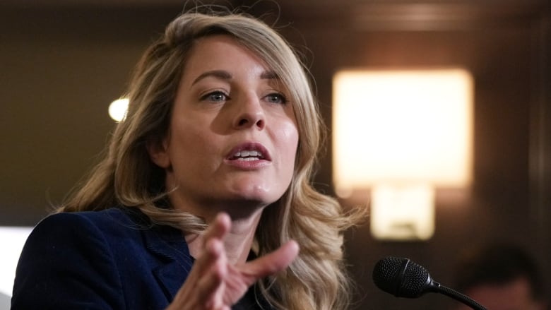 Minister of Foreign Affairs Melanie Joly speaks to the press during the federal cabinet retreat in Montreal, Monday, Jan. 22, 2024. 