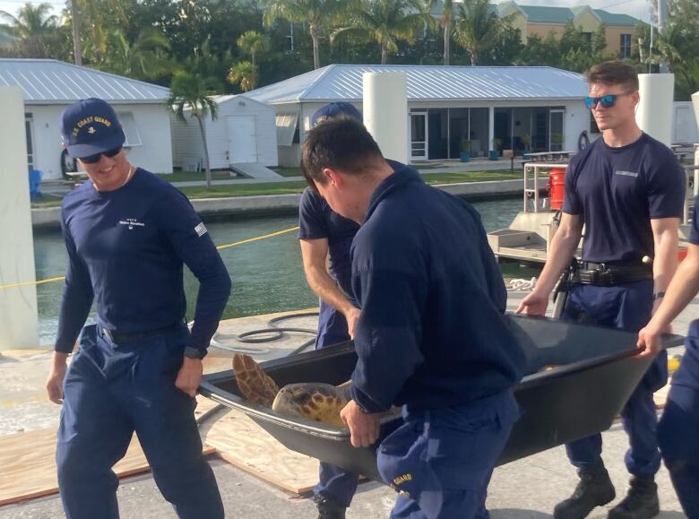 A group of men in coast guard uniforms carry the turtle in a plastic box