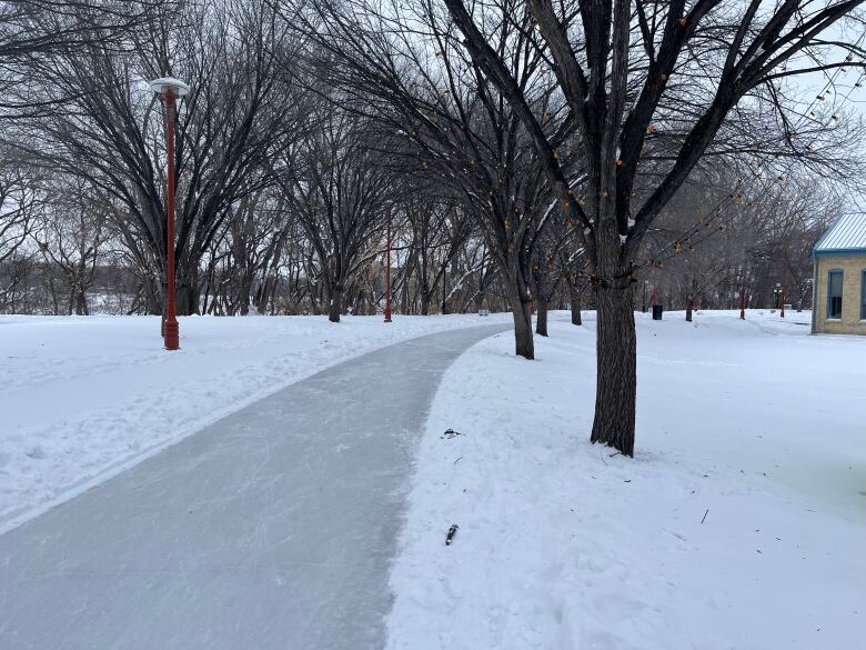 A skating trail winds through trees