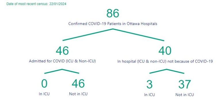 A chart showing the number of people in Ottawa hospitals with COVID.