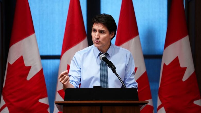 A man in a blue shirt and tie stands at a podium to deliver a speech. A row of Canadian flags are placed behind him.