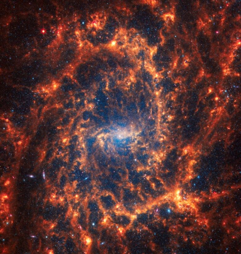 A spiral galaxy located 35 million light-years away from Earth. 