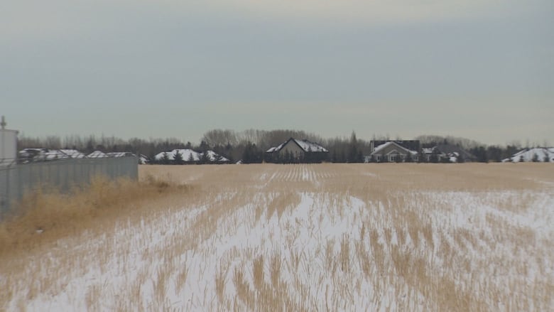 A field is seen with snow and houses in the background.