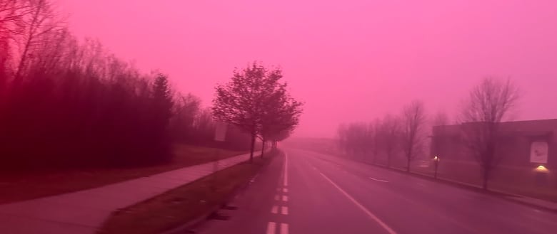 pink fog