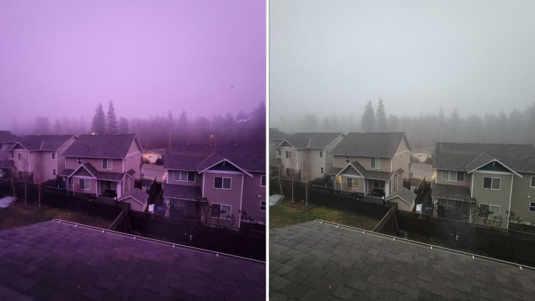 A residential neighbourhood in a purple hue, and a photo of the same neighbourhood without the fog.