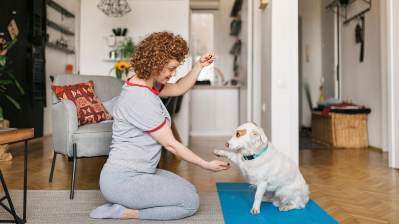 A woman kneeling on the floor of her living room, training her dog. The dog is sitting in front of her and is giving her its paw for a treat. 