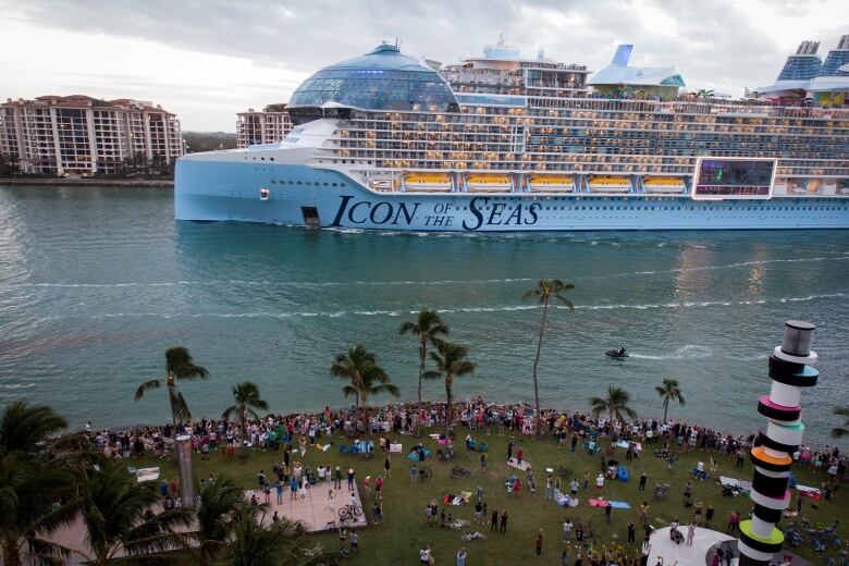 A massive cruise ship on the water.