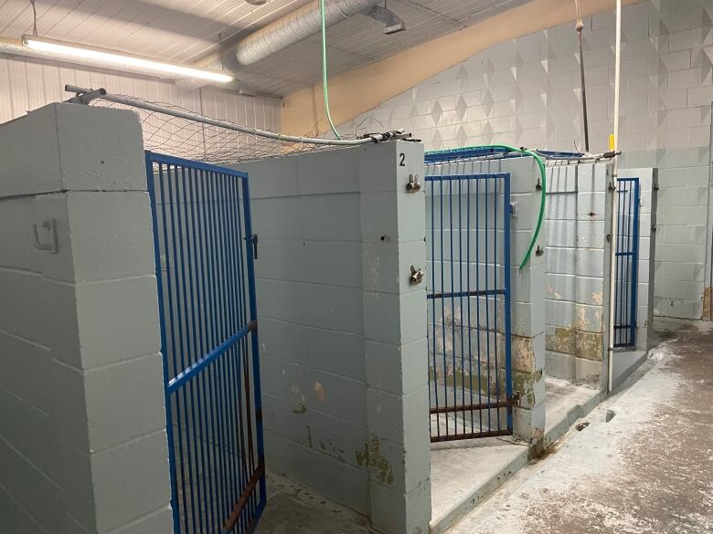 The inside of a building with kennel spaces for dogs. Grey walls and floor with paint chipping from the floors.