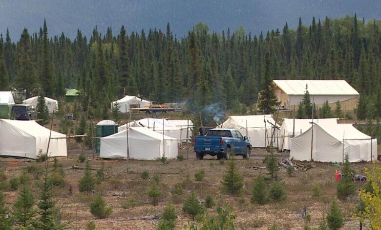 Several white tents are pitched in an open space with trees in the background. 