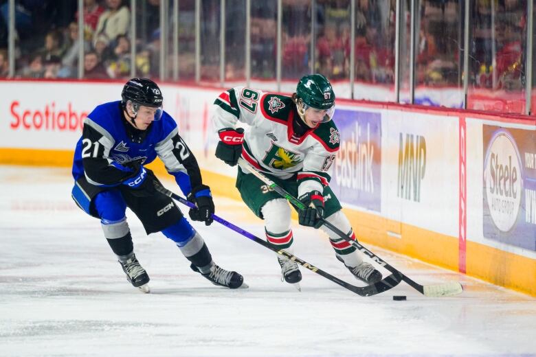 A hockey player in a white jersey is chased by a player wearing blue.