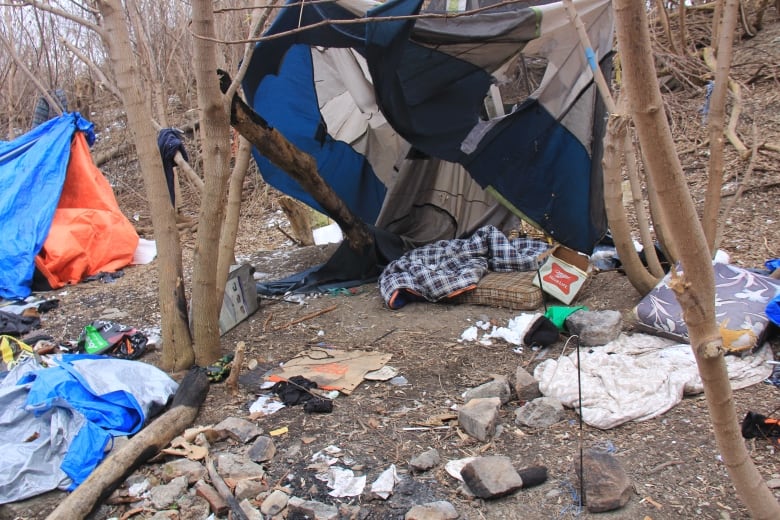 A tent for a homeless person in Windsor, Ont., is shown in the city near the downtown.