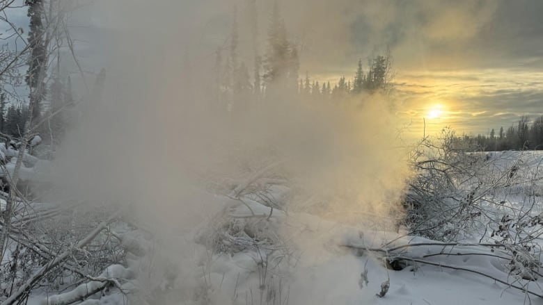 Smoke rises from the snow in a forested area.  