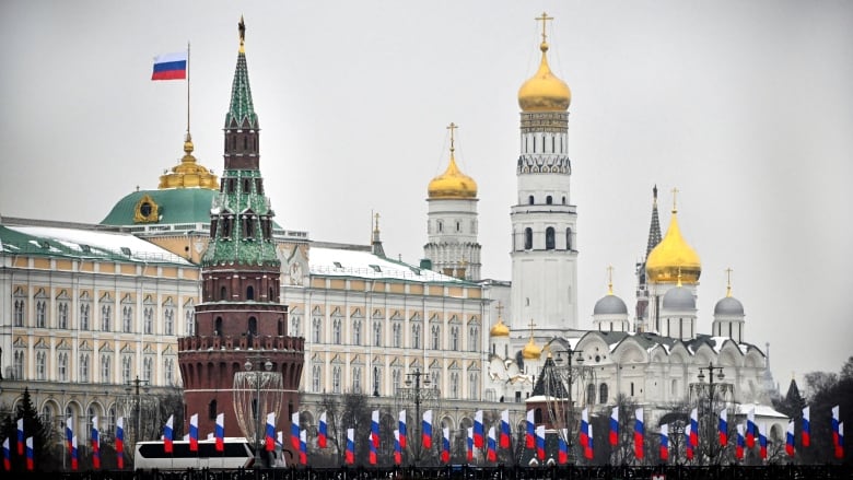 A white, blue and red striped Russian flag atop one end of long white building with gold domes on the other end, with a red brick tower in front it and a line of Russian flags lining a street in the foreground. 