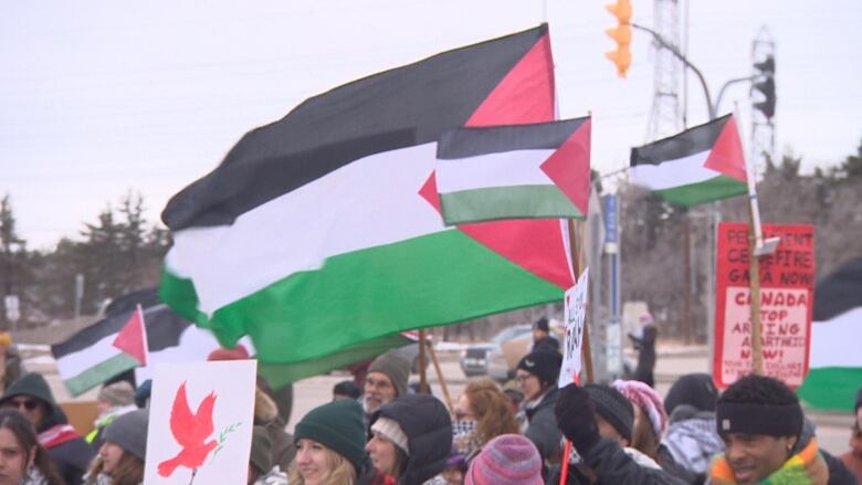 people waving Palestinian flags.