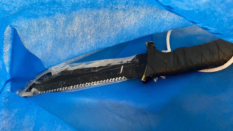 A large knife is shown inside a blue bag.