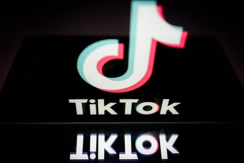 The TikTok logo is seen being displayed in Nantes, France, in March 2024.